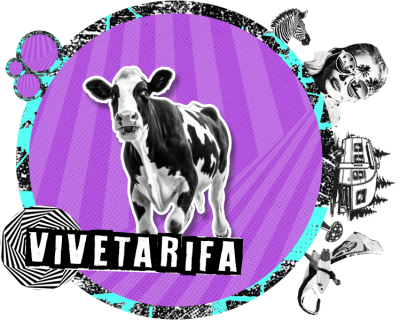 vivetarifa intro